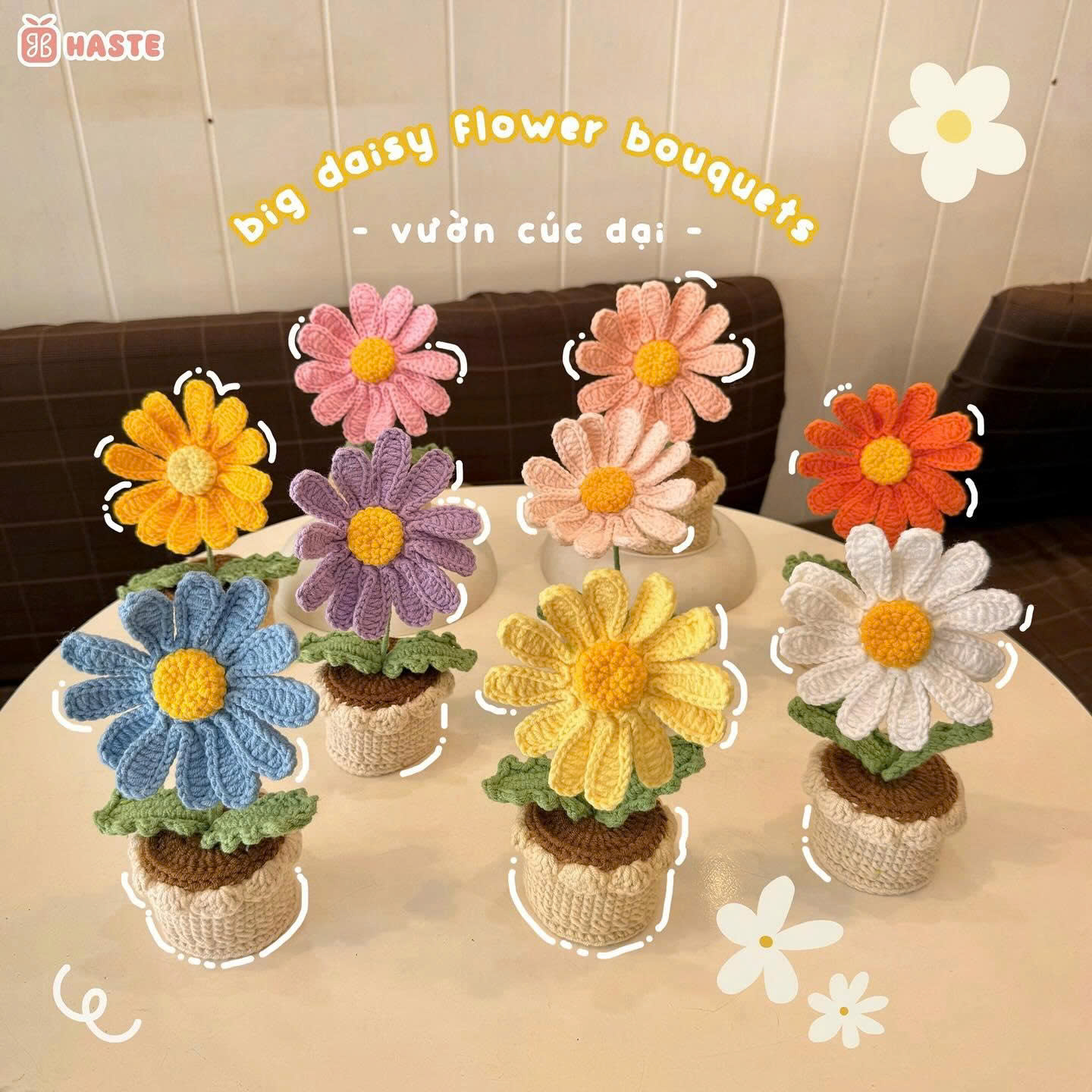 Câu Chuyện Của Haste Store